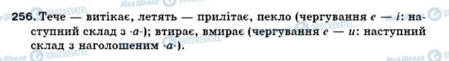 ГДЗ Українська мова 5 клас сторінка 256