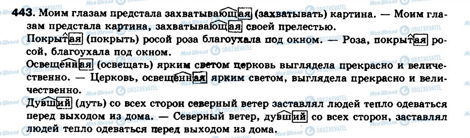 ГДЗ Російська мова 8 клас сторінка 443