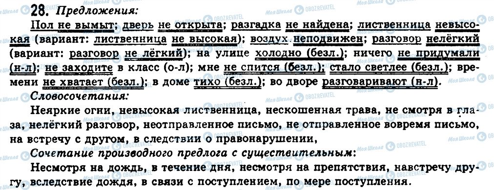 ГДЗ Російська мова 11 клас сторінка 28