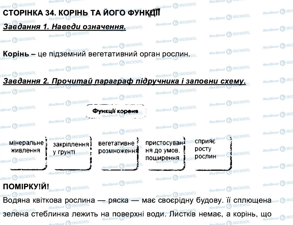 ГДЗ Біологія 6 клас сторінка СТ34