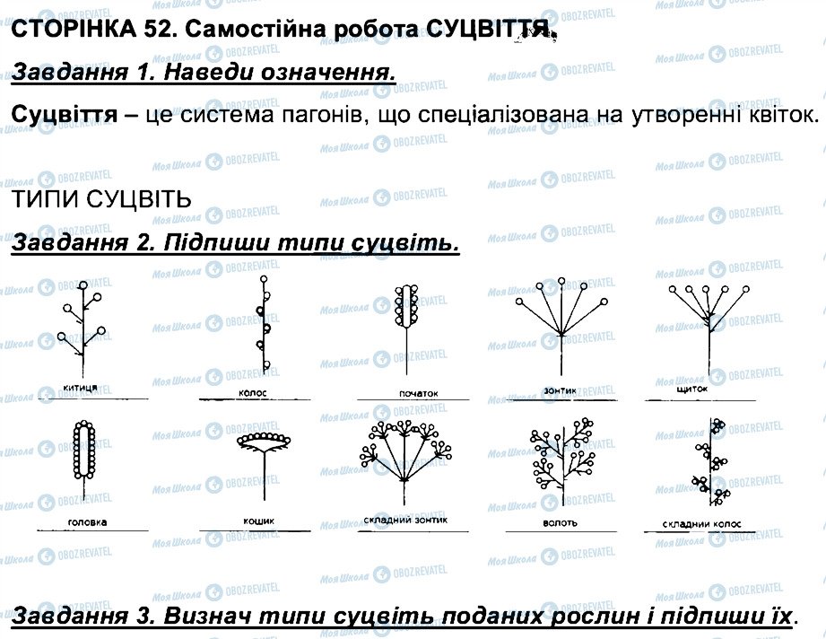 ГДЗ Биология 6 класс страница СТ52