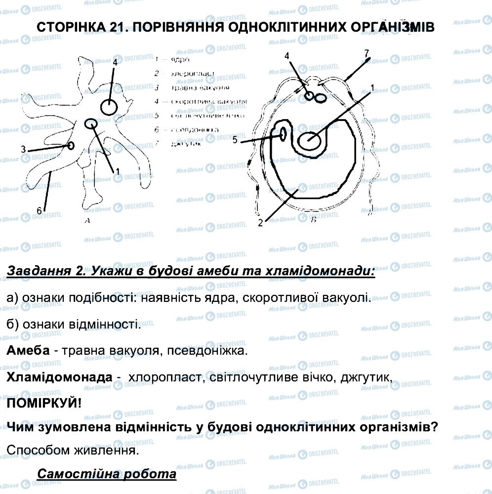 ГДЗ Биология 6 класс страница СТ21