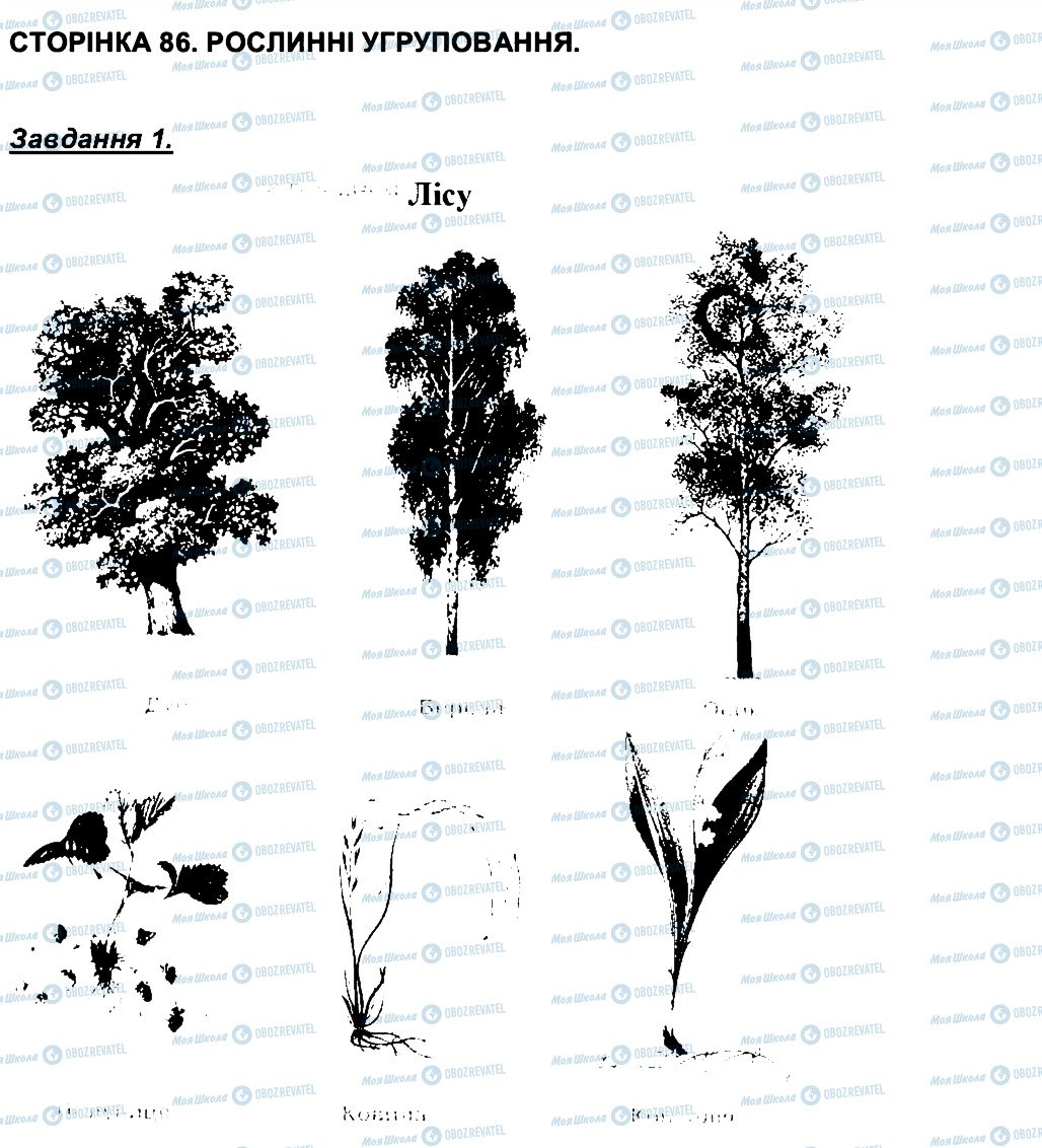 ГДЗ Биология 6 класс страница СТ86