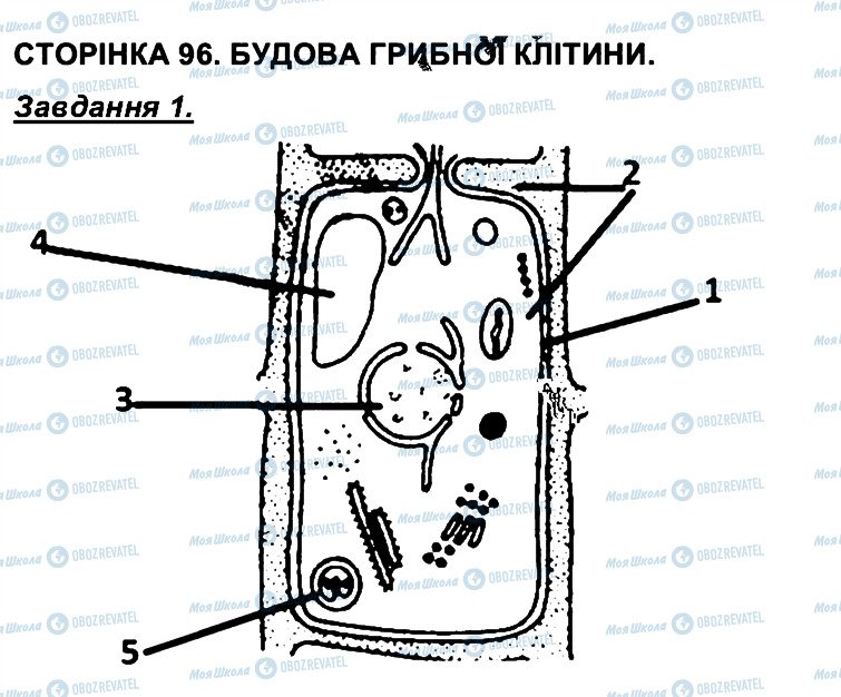 ГДЗ Біологія 6 клас сторінка СТ96