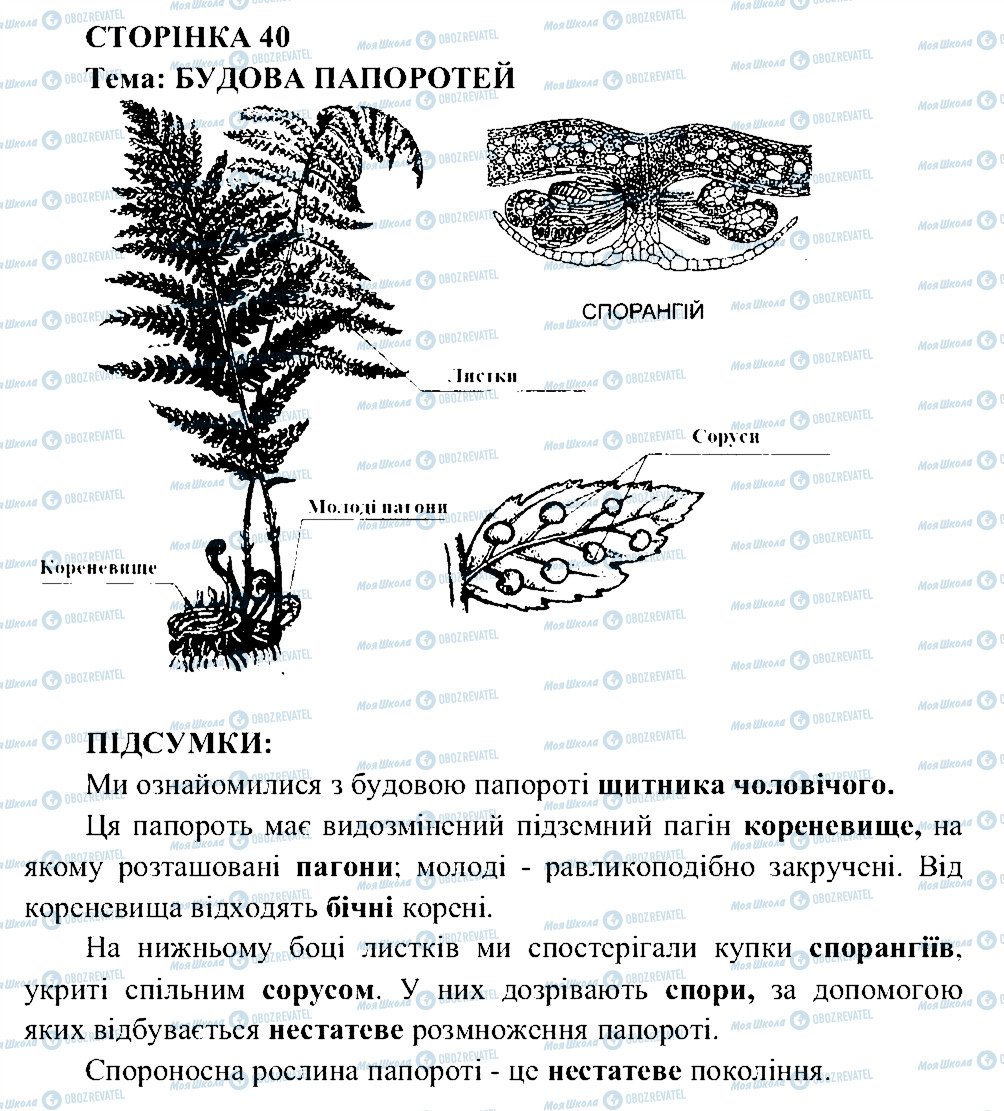 ГДЗ Біологія 6 клас сторінка СТ40