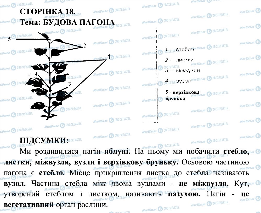 ГДЗ Біологія 6 клас сторінка СТ18