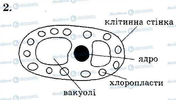 ГДЗ Биология 6 класс страница 2