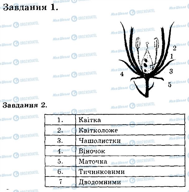 ГДЗ Біологія 6 клас сторінка В1