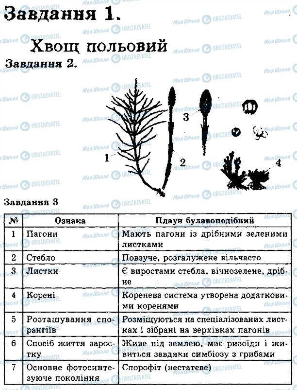 ГДЗ Біологія 6 клас сторінка В2