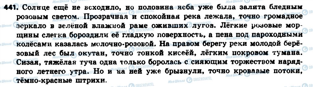 ГДЗ Російська мова 6 клас сторінка 441