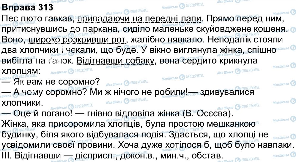 ГДЗ Українська мова 7 клас сторінка 313