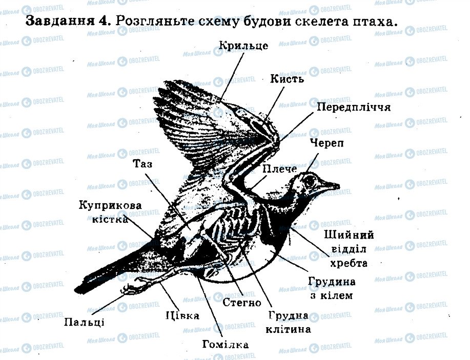 ГДЗ Біологія 7 клас сторінка 4