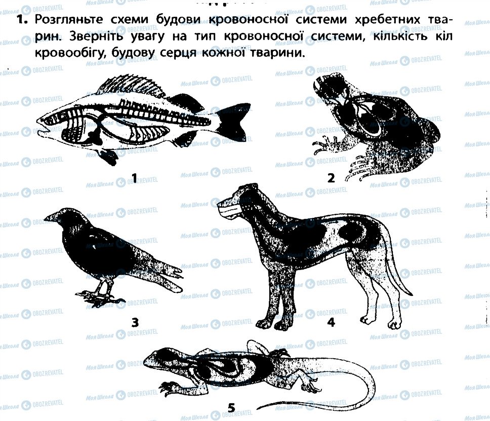 ГДЗ Біологія 7 клас сторінка 1