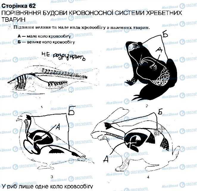 ГДЗ Біологія 7 клас сторінка 2