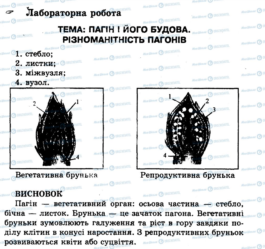 ГДЗ Биология 7 класс страница ЛР