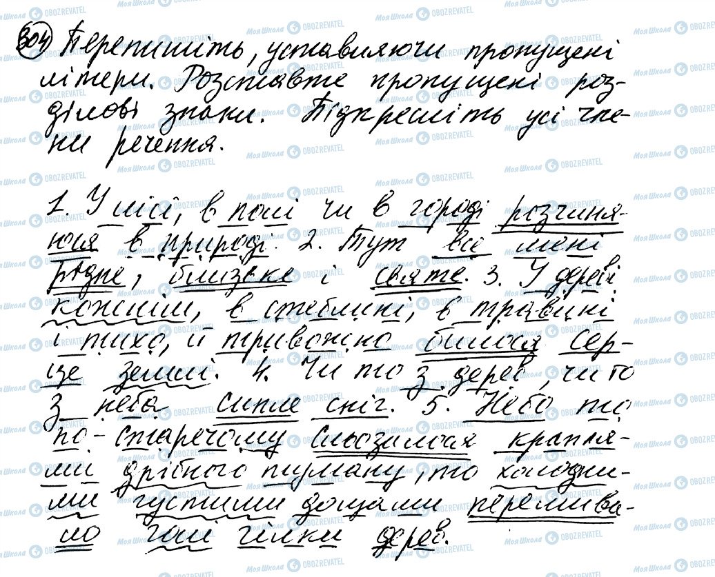 ГДЗ Укр мова 8 класс страница 304