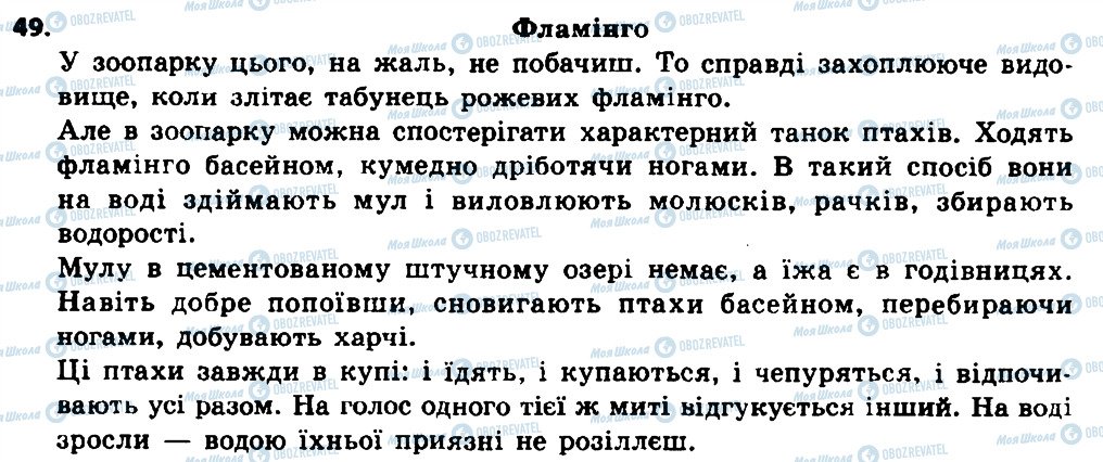 ГДЗ Українська мова 8 клас сторінка 49