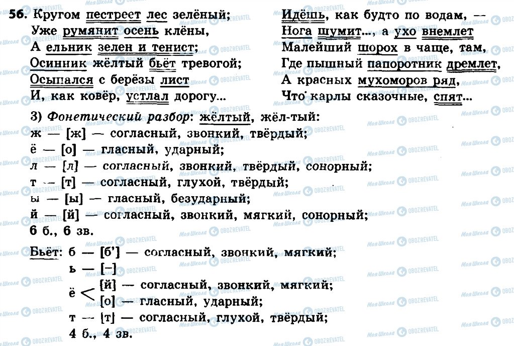 ГДЗ Російська мова 8 клас сторінка 56