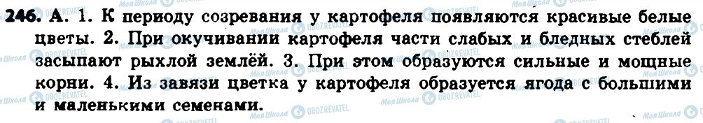 ГДЗ Російська мова 8 клас сторінка 246