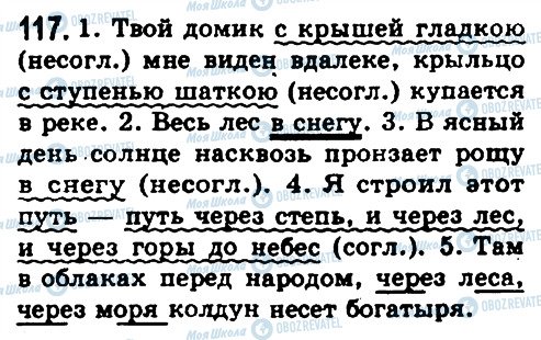 ГДЗ Русский язык 8 класс страница 117