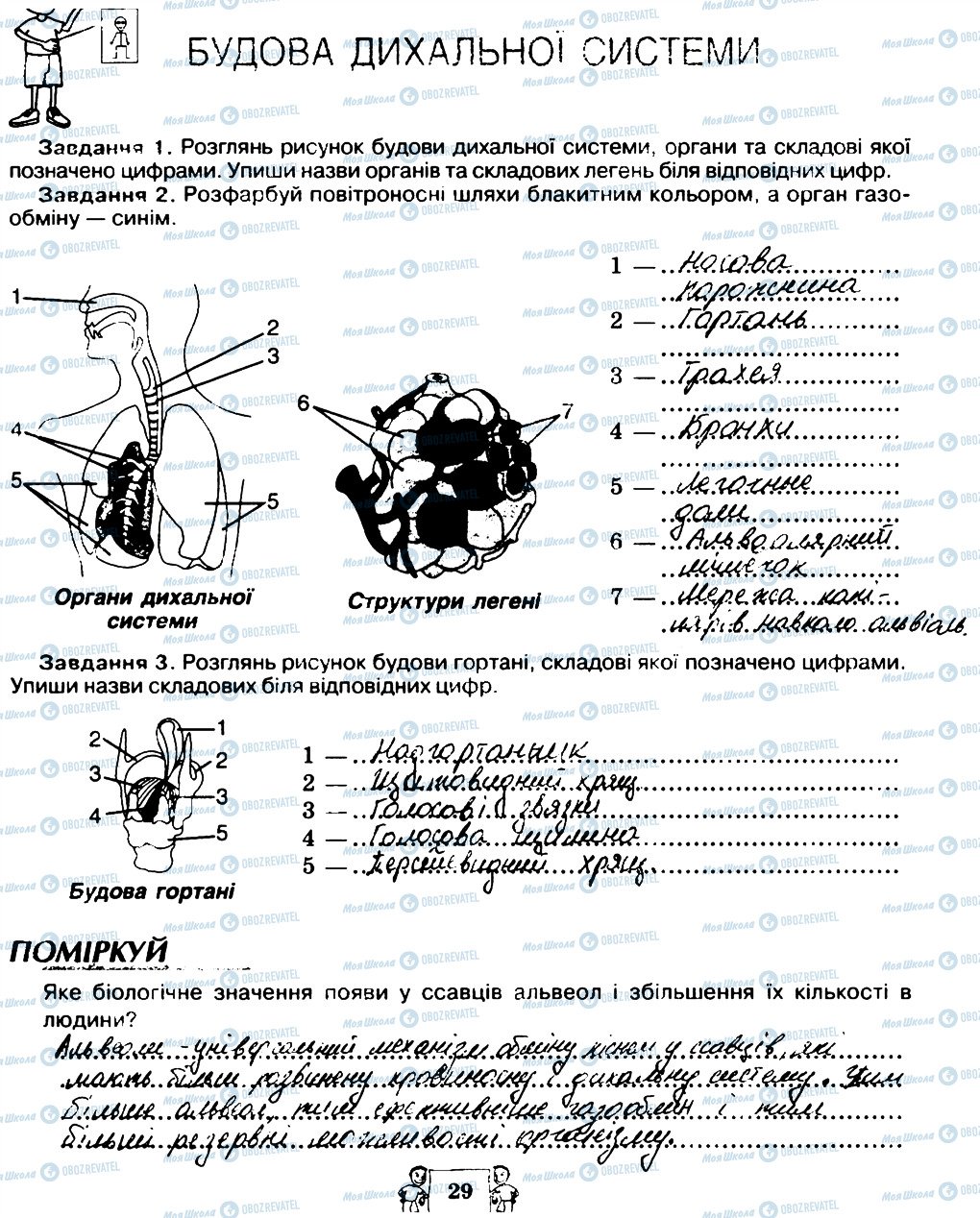 ГДЗ Біологія 8 клас сторінка 29