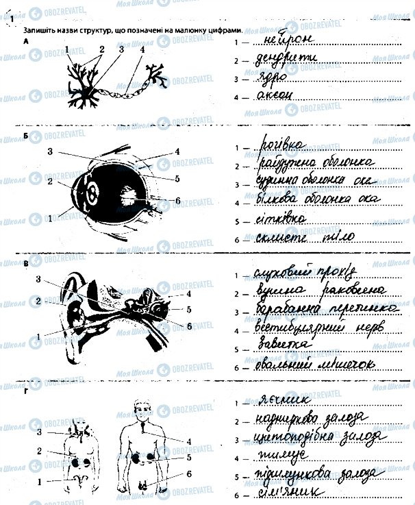 ГДЗ Биология 8 класс страница 1
