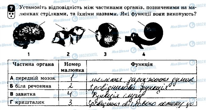 ГДЗ Биология 8 класс страница 7