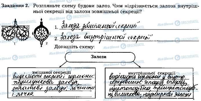 ГДЗ Біологія 8 клас сторінка ст123завд2