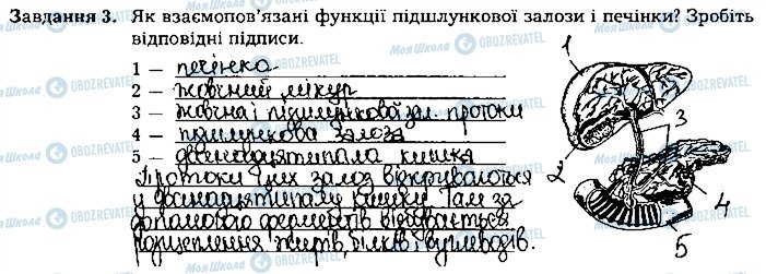 ГДЗ Біологія 8 клас сторінка ст28завд3