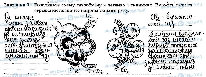 ГДЗ Біологія 8 клас сторінка ст33завд3