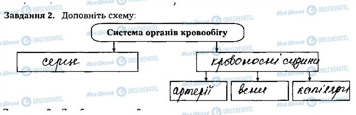 ГДЗ Биология 8 класс страница ст45завд2