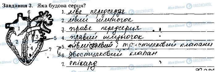 ГДЗ Биология 8 класс страница ст45завд3