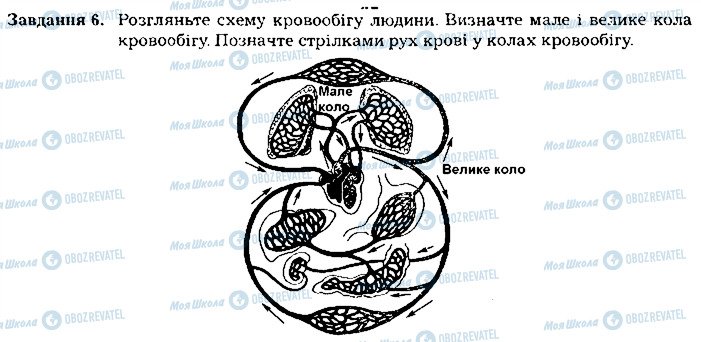 ГДЗ Биология 8 класс страница ст48завд6