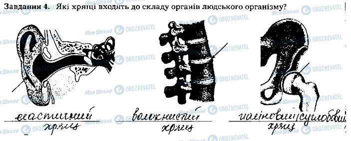 ГДЗ Біологія 8 клас сторінка ст62завд4