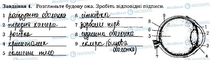 ГДЗ Біологія 8 клас сторінка ст87завд4