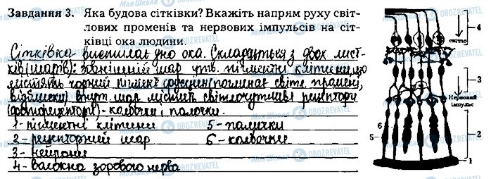 ГДЗ Біологія 8 клас сторінка ст91завд3