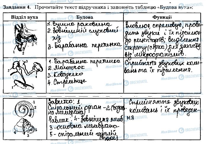 ГДЗ Биология 8 класс страница ст93завд4