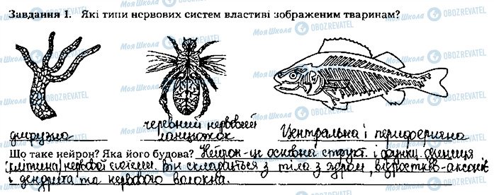 ГДЗ Биология 8 класс страница ст10завд1