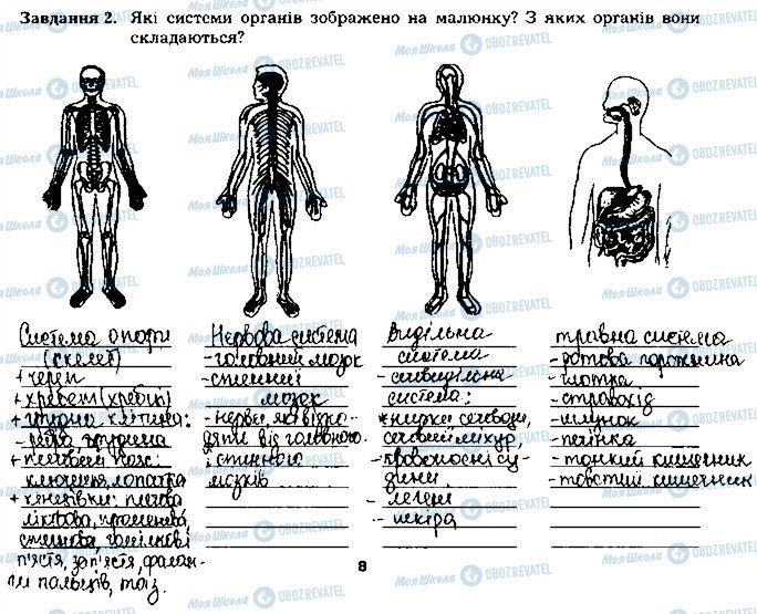 ГДЗ Біологія 8 клас сторінка ст8завд2
