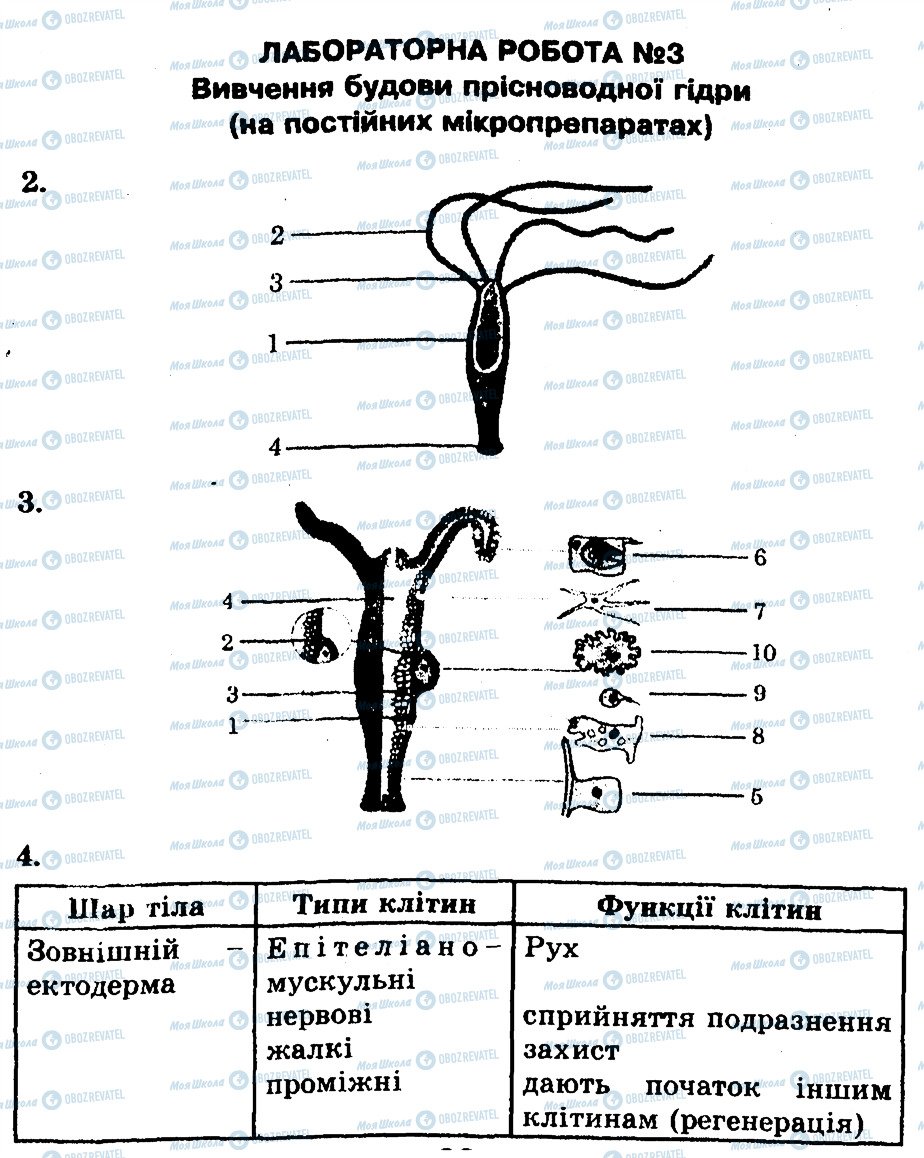 ГДЗ Біологія 8 клас сторінка ЛР3
