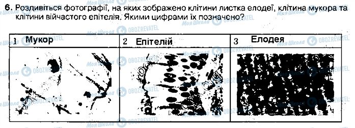 ГДЗ Биология 9 класс страница ст29завд6