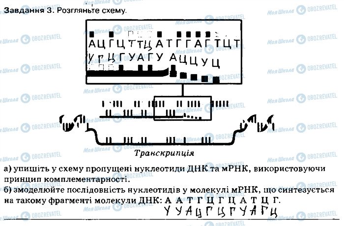 ГДЗ Биология 9 класс страница ст51завд3