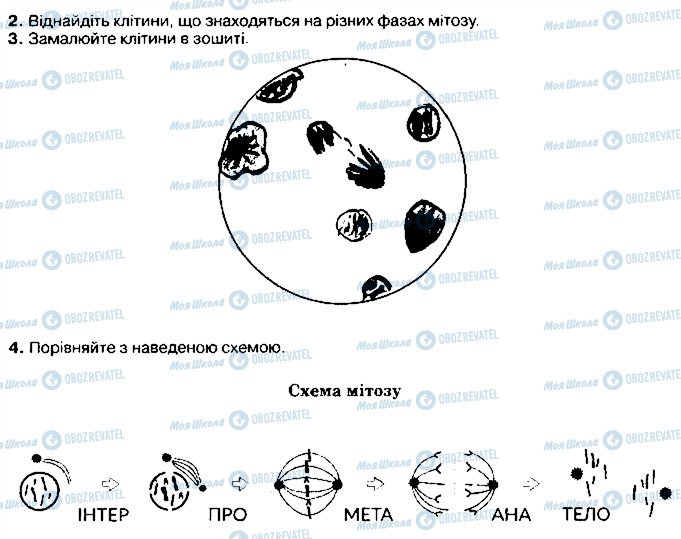 ГДЗ Биология 9 класс страница ст54