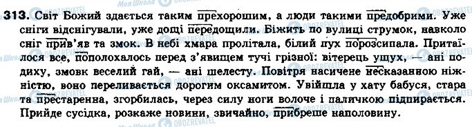 ГДЗ Українська мова 10 клас сторінка 313