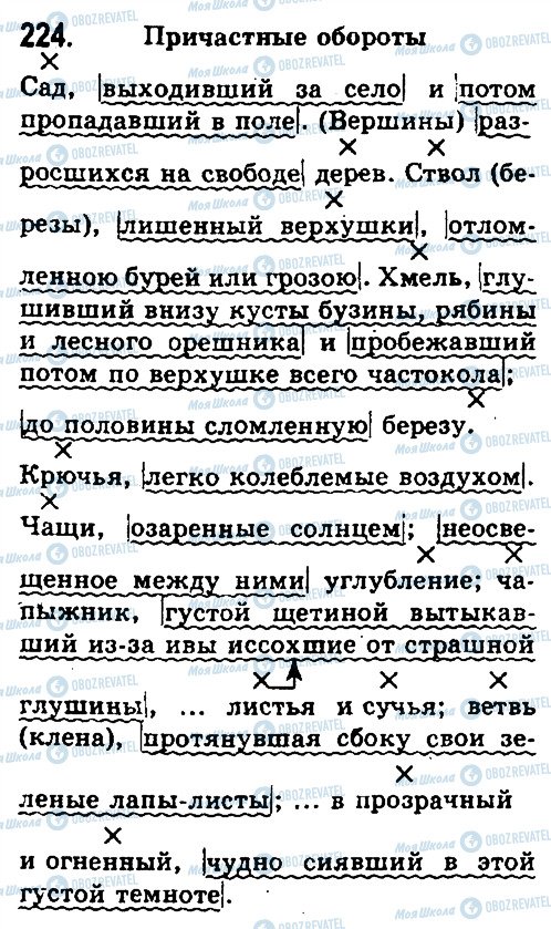 ГДЗ Російська мова 10 клас сторінка 224