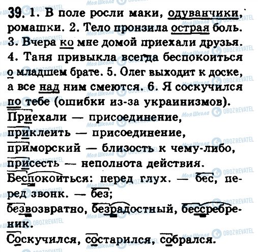 ГДЗ Російська мова 10 клас сторінка 39