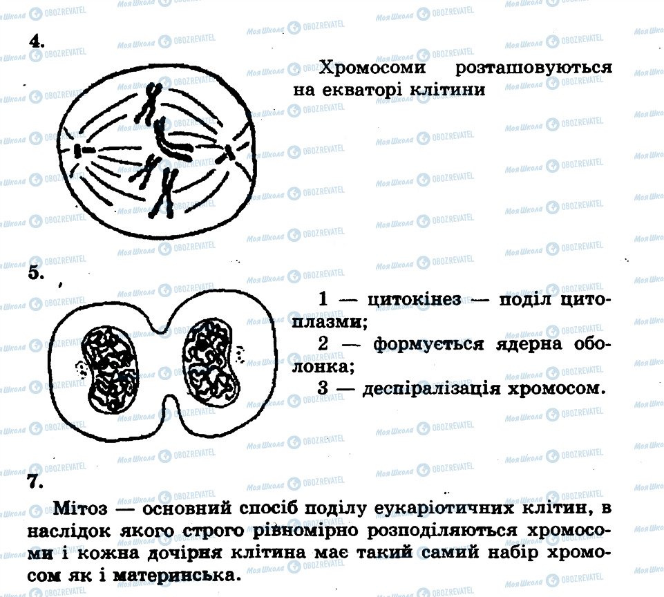 ГДЗ Биология 10 класс страница ЛР10