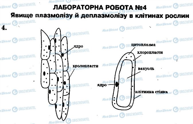 ГДЗ Биология 10 класс страница 4