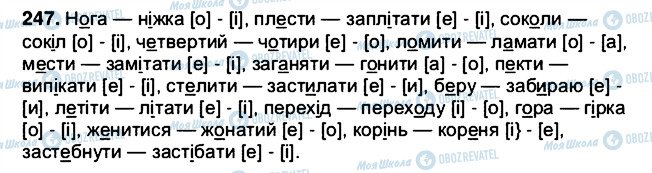 ГДЗ Українська мова 5 клас сторінка 247