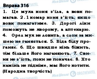 ГДЗ Українська мова 5 клас сторінка 316